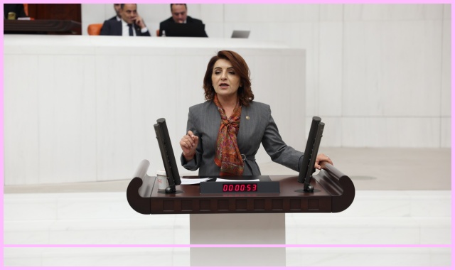 Gülcan Kış’tan Kültür Yolu Festivali Tepkisi: Kültürü Böldünüz, Sanatı Ayrıştırdınız