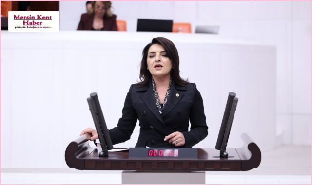 GÜLCAN KIŞ: BÜYÜYEN EKONOMİ DEĞİL, BORÇ