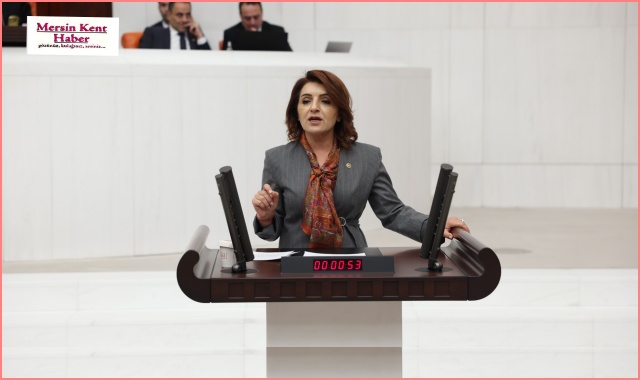 GÜLCAN KIŞ: TİSAN’IN KADERİ DEĞİL, MERSİN’İN GELECEĞİ YARGILANIYOR