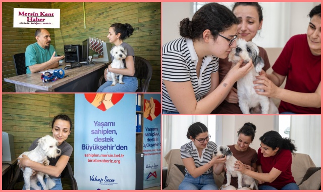 YAŞAMI SAHİPLEN DESTEK  BÜYÜKŞEHİR'DEN 1.927 CAN YENİ YUVASINA KAVUŞTU