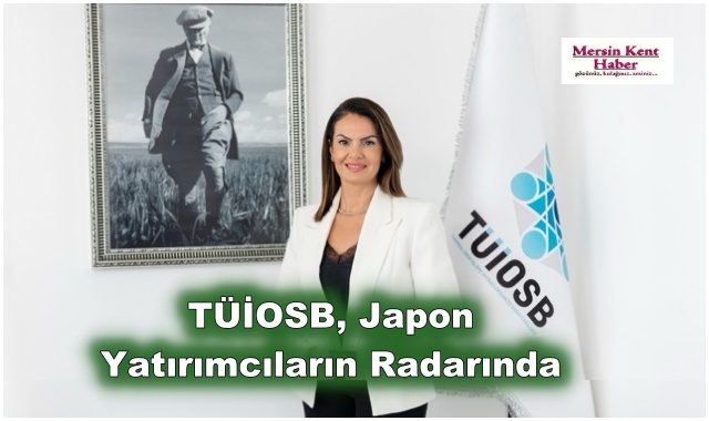 TÜİOSB, Japon Yatırımcıların Radarında