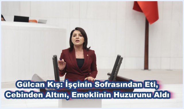 Gülcan Kış: İşçinin Sofrasından Eti, Cebinden Altını, Emeklinin Huzurunu Aldı