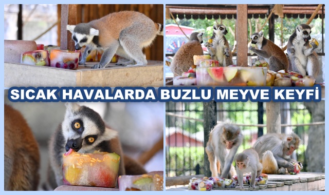 SICAK HAVALARDA BUZLU MEYVE KEYFİ