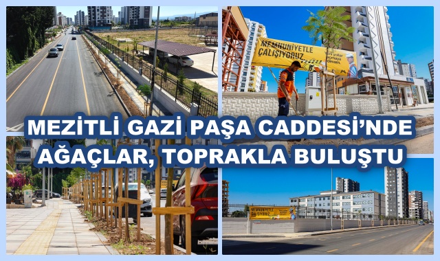 MEZİTLİ GAZİ PAŞA CADDESİ’NDE AĞAÇLAR, TOPRAKLA BULUŞTU