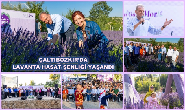 ÇALTIBOZKIR’DA LAVANTA HASAT ŞENLİĞİ YAŞANDI
