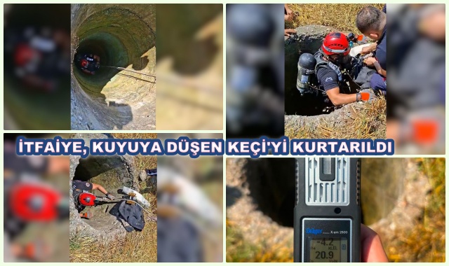İTFAİYE, KUYUYA DÜŞEN KEÇİ'Yİ KURTARILDI
