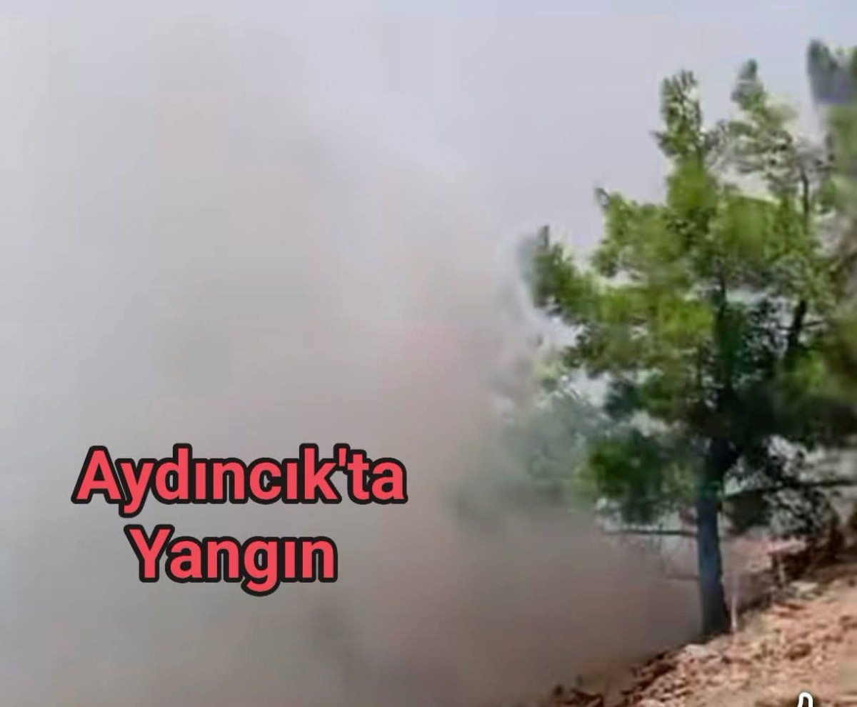 Aydıncık'taki Yangına Havadan Karadan Müdahale 