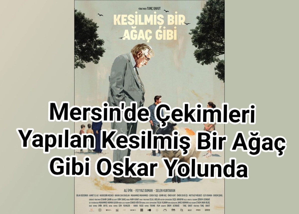 Mersin'de Çekimleri Yapılan Kesilmiş Bir Ağaç Gibi Oskar Yolunda