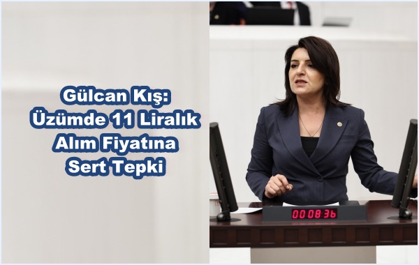  Gülcan Kış: Üzümde 11 Liralık Alım Fiyatına Sert Tepki