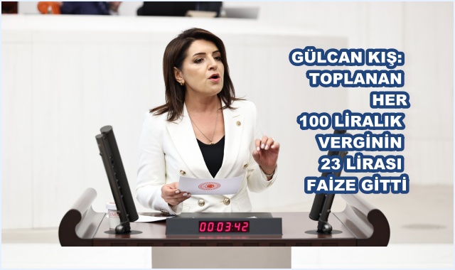 GÜLCAN KIŞ: TOPLANAN HER 100 LİRALIK VERGİNİN 23 LİRASI FAİZE GİTTİ