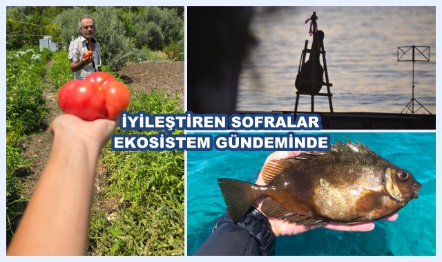 İYİLEŞTİREN SOFRALAR EKOSİSTEM GÜNDEMİNDE