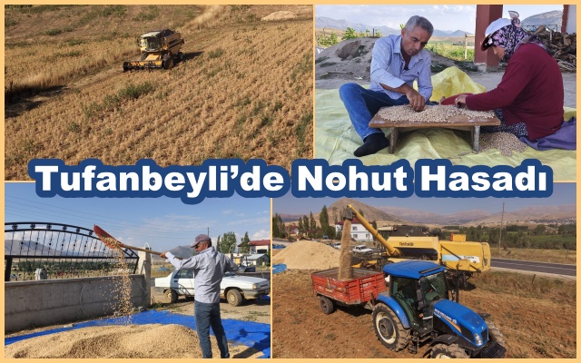 Tufanbeyli’de Nohut Hasadı 