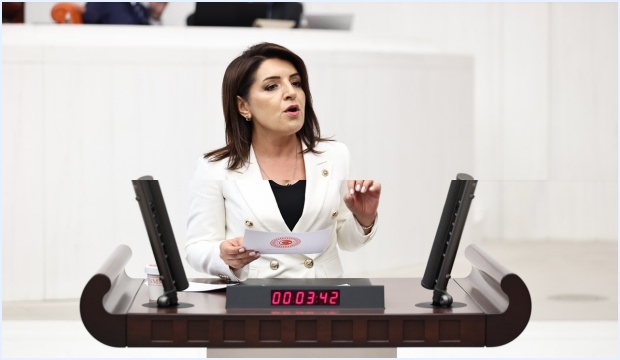 GÜLCAN KIŞ: OTOYOLLAR VE KÖPRÜLER KAZANÇ KAPISI OLAMAZ